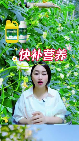 快速补营养,提苗促长,让豆角肉厚不鼠尾! #农夫天下水溶肥#快补营养提苗促长#促花保果补营养