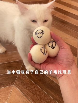 一定要给猫咪买的羊毛球#新手养猫#萌宠好物#逗猫玩具#猫咪玩具#猫咪玩具
