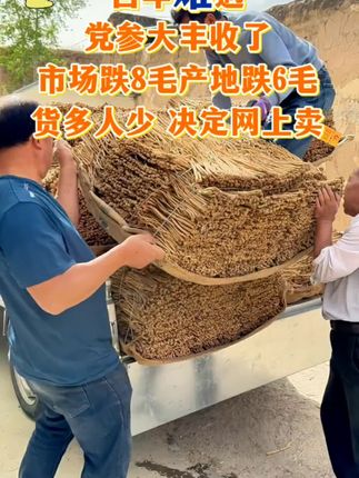 #党参#党参猪心汤 #党参泡水