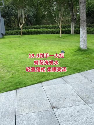 #蜂花 #洗发水 #自用好物分享 #洗护好物 #无限回购的宝藏单品