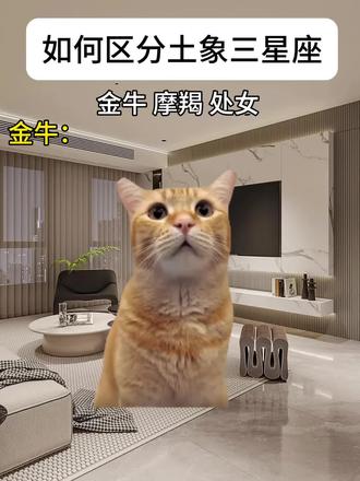 如何区分土象星座#星座 #土象