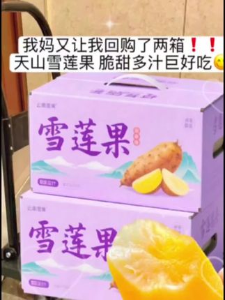 有“地下雪梨”美称的雪莲果,清脆爽口,,一口开始冰爽清甜!外表朴实,内里晶莹水润~咬上一口~汁水四溢,清甜在舌尖散开,,清爽脆口,毫无涩感!!富含多种营养,既能当水果直接吃,,又能入菜炖汤~~吃法多样!别错过,赶紧尝尝这清甜!!#雪莲果 #优质农产品#营养丰富#脆甜多汁#快来一起尝个鲜