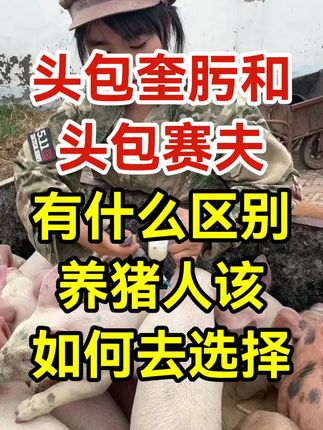 猪场#养猪人必看#所有养猪人#三农养殖#猪价行情