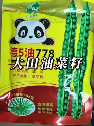 #上热门 【ZS】高产油菜籽德5油778油菜种子抗病抗倒伏含油量高杂交油菜花籽#农业种植技术 #玉米种植技术与管理 #剪映教程 #内分泌失调怎么检测出来