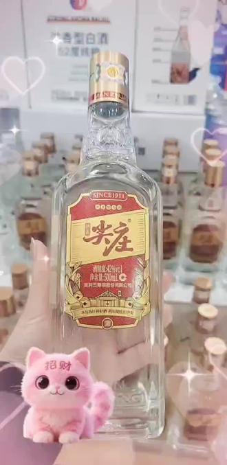沧州盐百周三会生活!