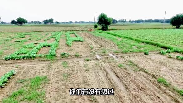 太阳已经大到离谱了?来见识下宇宙真正的巨无霸!#吏蒂文森218 #宇宙 #科普 #天文 #抖音精选