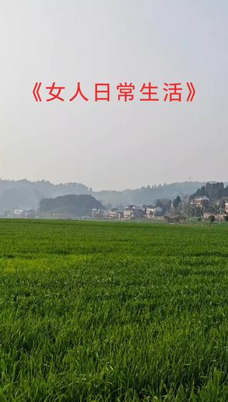 日常生活#3D音乐 #歌曲推荐 #美册