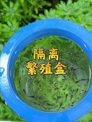 黄金今日金价 #财经 #巴菲特 #股市 #黄金