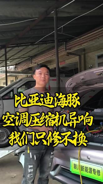 比亚迪海豚热泵空调异响维修 比亚迪海豚热泵空调异响维修#热泵空调异响维修 #东莞压缩机维修 #东莞新能源汽车三电维修 #东莞新能源维修