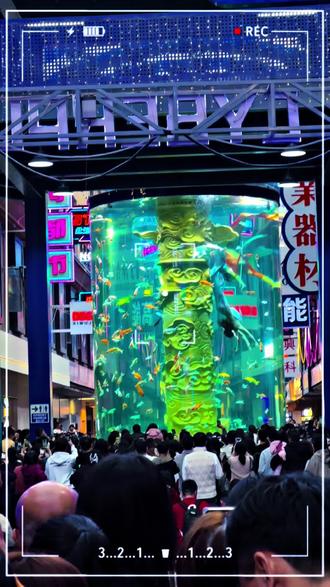 普宁国际商品城美人鱼🧜♀️表演