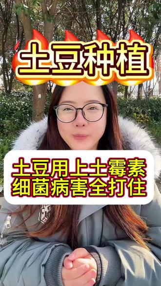 土豆用上土霉素,细菌病害全打住#土豆种植 #农业种植 #土豆高产种植 #马铃薯 #马铃薯种植
