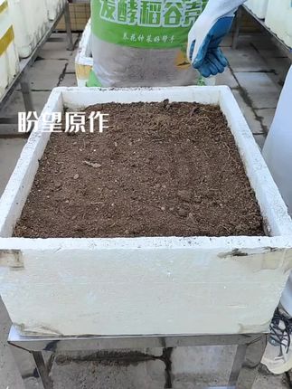 楼顶种植土要掺发酵稻壳去拌土,发酵谷壳能起到保湿的作用,使土壤疏松透气,来年就是有机土#种植小技巧 #土壤疏松透气小妙招 #关注我零基础学种菜