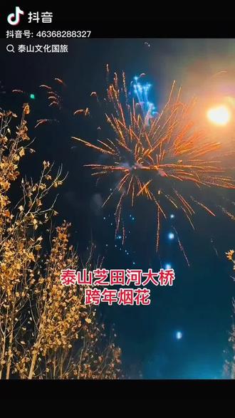 离跨年越来越近还有4天让我一起见证2026相约芝田河大桥超大烟花盛宴直播