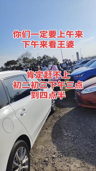 #大纵湖旅游景区 王婆来啦!想上台的上午来!因为堵车严重提前去排队!#王婆来啦