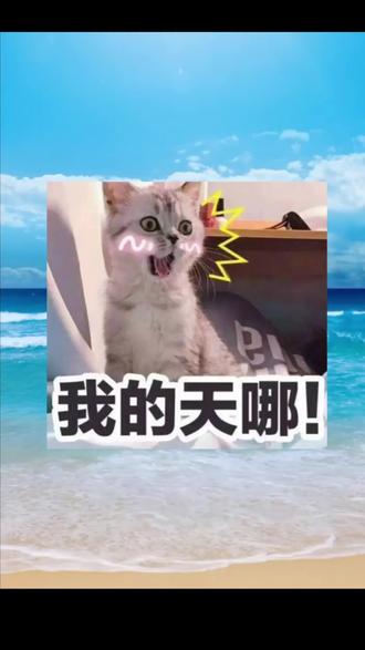 泰酷辣 vivo手机 #vivo 手机 这些功能太豪横了 好多人都不知道 一起来试试呗 #蔡司 #手机数码
