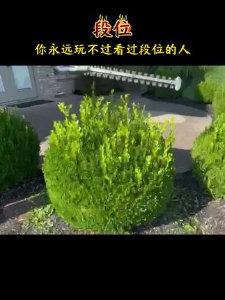 你永远玩不过看过段位的人#好书分享 #段位 #人际交往