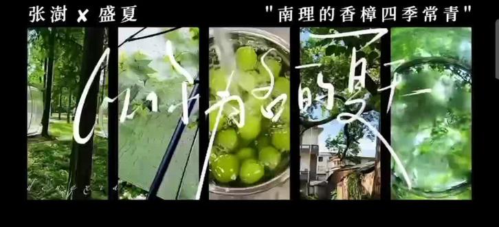 #以你为名的夏天#任凭舟#小说推荐