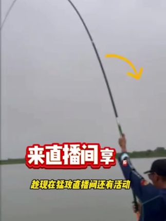 【实战为王】猛攻突击鲢3代鲢鳙终结者超轻超硬5H28调实用鱼竿#【实战为王】#猛攻突击鲢3代鲢鳙终结者#超轻超硬5H28#调实用鱼竿