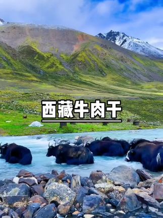西藏特产手撕牦牛肉干#西藏牦牛肉干 #牛肉干 #西藏特产