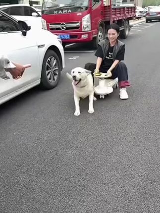 大人可坐成人扭扭车防翻溜溜大轮车品质静音安全双人加厚牵引绳 #可坐成人扭扭车#防侧翻溜溜车#加厚溜溜车#宝妈带娃解放双手 #玩具推荐