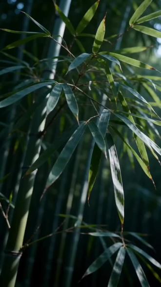 3秒让萌宠成为十面埋伏里的主角 教程来了 豆包生视频 ai生视频 豆包指令 豆包生视频教程 萌宠 猫 #豆包ai #豆包出大片有两把刷子 #ai宠物特效 #ai生成视频 #豆包seedance2.0