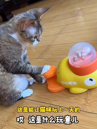 猫玩具自嗨解闷逗猫棒宠物零食冻干小黄鸭发射器小猫漏食玩具狗狗