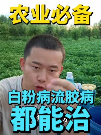 #三农#种植小技巧#农业种植#病虫害防治#农业