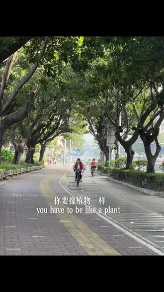 像植物一样光合作用
#抖音小助手
