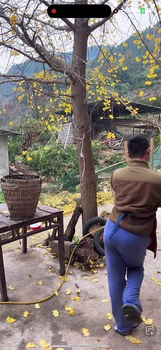 试吃一斤决不允许#名模坤 #名模坤直播 #名模坤直播回放