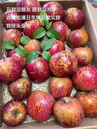 这个昭通丑苹果,它虽然皮上有点“小雀斑”,但是咬一口满满糖心甜!日照足,温差大,自然长熟!丑是丑了点,果肉脆嫩,汁水多,甜得实实在在。咱吃的是味道,不看颜值!丑苹果!丑得有道理,甜得够地道!喜欢吃的安排#丑苹果 #又脆又甜 #新鲜应季水果 #口感特别好#现摘现发新鲜到家