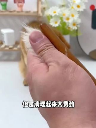 掉毛季不想家里毛毛乱飞,一定要安排这个小排梳,底毛绒通通梳掉#萌宠好物#新手养猫#新手养狗