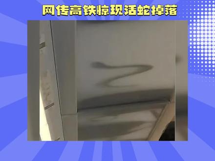 网传高铁惊现活蛇掉落 #青年创作者成长计划