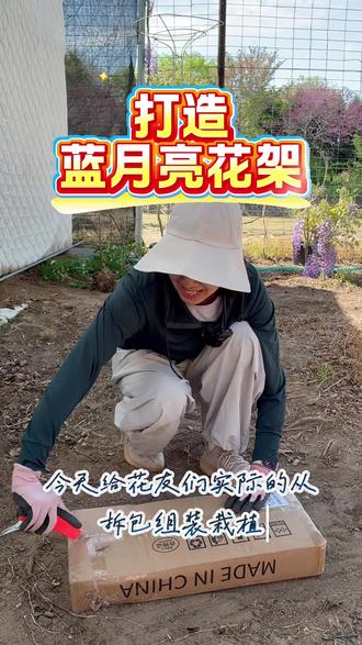 手把手教你打造一个漂亮的紫藤花架#紫藤花 #花园生活