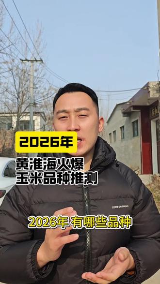 2026年,有哪些品种能够火爆黄淮海#高产玉米种子 #新农人 #2026 #商道玉606 #商道种业