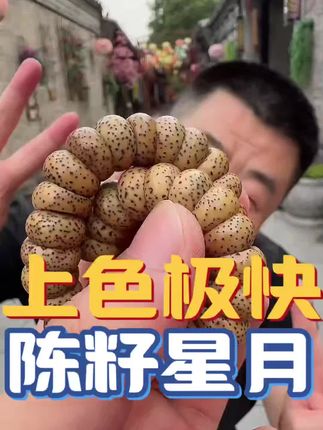 #大肠星月 #星月菩提 #文玩手串#好物推荐🔥 #文玩爱好者