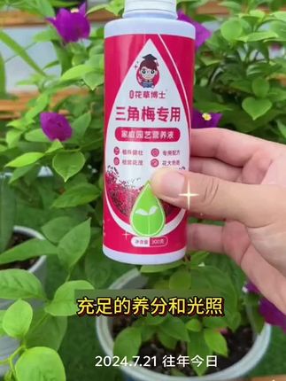 #花卉绿植#爱生活爱养花#盆栽#养护小知识