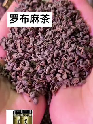 罗布麻茶新疆500g正品新芽正品正宗天然新货