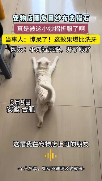 宠物洁牙秘籍大公开,学到就是赚到!#铲屎官必看#亨利爸爸洁齿水#抖出健康知识宝藏#猫咪口腔健康#猫
