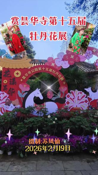 赏昙华寺第十五届牡丹花展