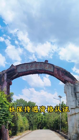 社保待遇资格认证#社保 #基层工作
