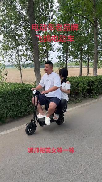 飞鸽电动车国民品牌。可折叠 可放后备厢