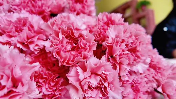 《你是春天的一朵花》🌸 愿您们永远被温柔以待,永远闪闪发光✨#女神节快乐 #幼儿园女神节创意视频 #三八女神节 #三八妇女节