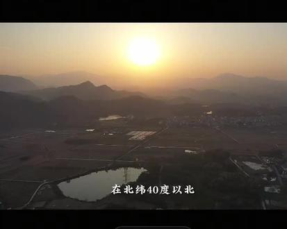 莜麦的三生三熟#我的家乡