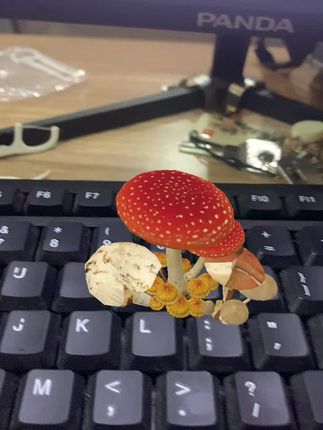 视频