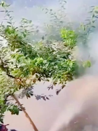 果园打药机真是种植神器!高压雾化,均匀覆盖,省时又省力,种地好帮手🌳#果园打药机 #冷雾机 #打药机 #电动打药机