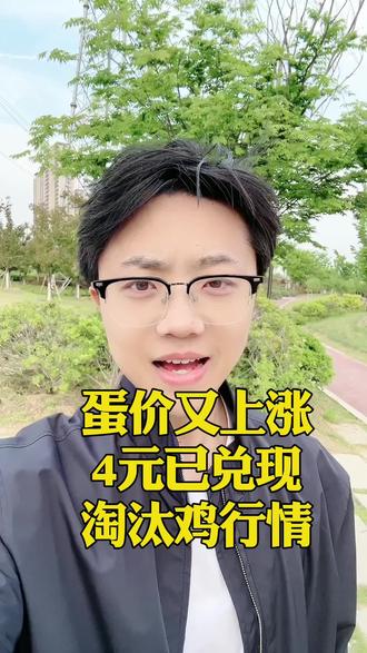 蛋价还会接着涨吗!?#蛋价 #蛋价趋势 #蛋价行情 #蛋价信息 #蛋价上涨