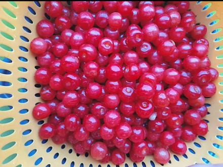 软软糯糯超级好吃的樱桃干#樱桃莓酱做法