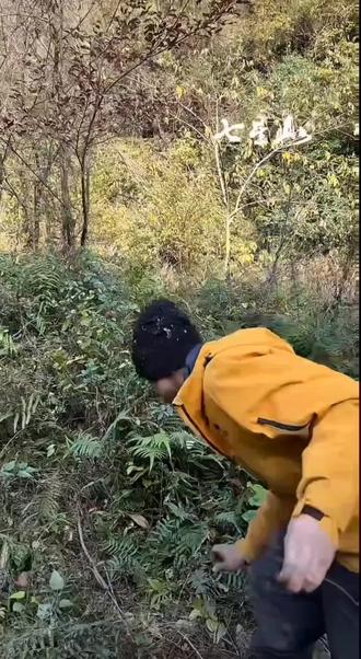 #荒野求生 韦山抓小小可爱