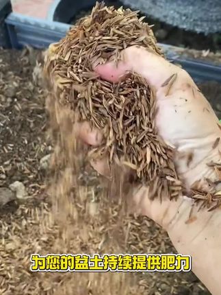 为什么田园土里面混合稻谷壳,能让土壤变得疏松透气 #种植小技巧 #稻谷壳 #土壤改良 #腐熟稻谷壳 #土壤板结的改良方法