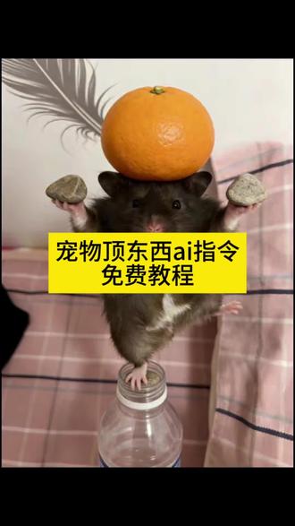 宠物顶东西ai指令生成入口教程#宠物顶东西ai指令 #仓鼠金鸡独立趣事 #仓鼠金鸡独立姿势 #ai叶问蹲 #剪映 叶问蹲真的能做出来吗 挑战叶问蹲的视频 叶问蹲怎么学 叶问蹲的难度有多大 宠物金鸡独立特效 叶问蹲训练方法 叶问蹲如何练成 乌龟叶问蹲 树上叶问蹲 仓鼠可爱 叶问蹲ai特效 叶问蹲ai生成 金鸡独立姿势猫 叶问蹲豆包指令 叶问蹲ai特效入口 狗狗叶问蹲口令 仓鼠ai生成指令 叶问蹲ai特效一键生成 狗狗叶问蹲ai怎么用 金鸡独立姿势ai指令
